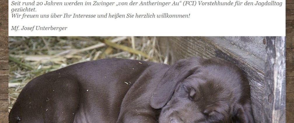 Neue Website des Kurzhaar Zwingers von der Antheringer Au