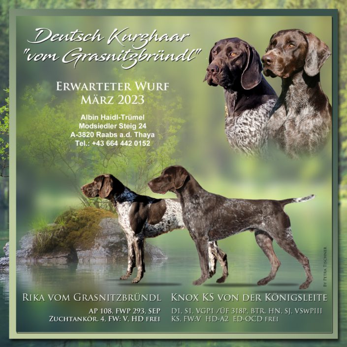 Deckmeldung_Grasnitzbründel